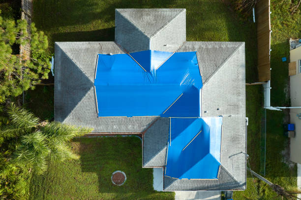 Best Roof Moss and Algae Removal  in Rosemont, CA