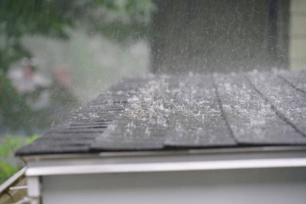 Best Roof Ventilation Installation  in Rosemont, CA