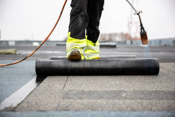 Best Skylight Installation and Repair  in Rosemont, CA