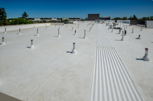 Best Flat Roofing  in Rosemont, CA